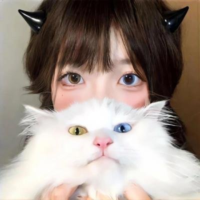 石头开花在线观看